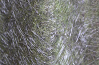 Albourne Green fibreglass roof work